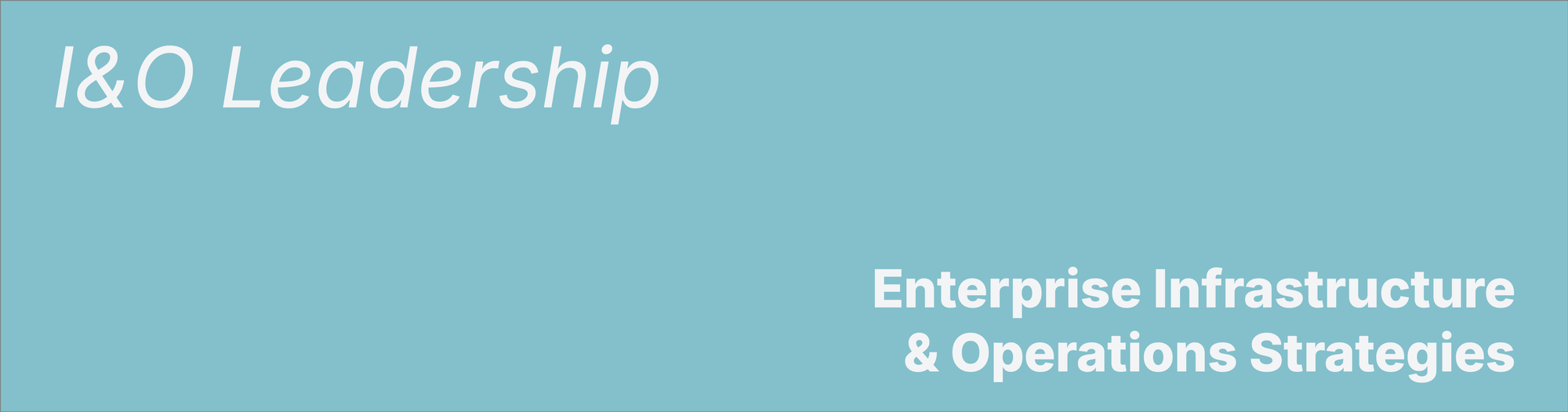 I&O Leadership
